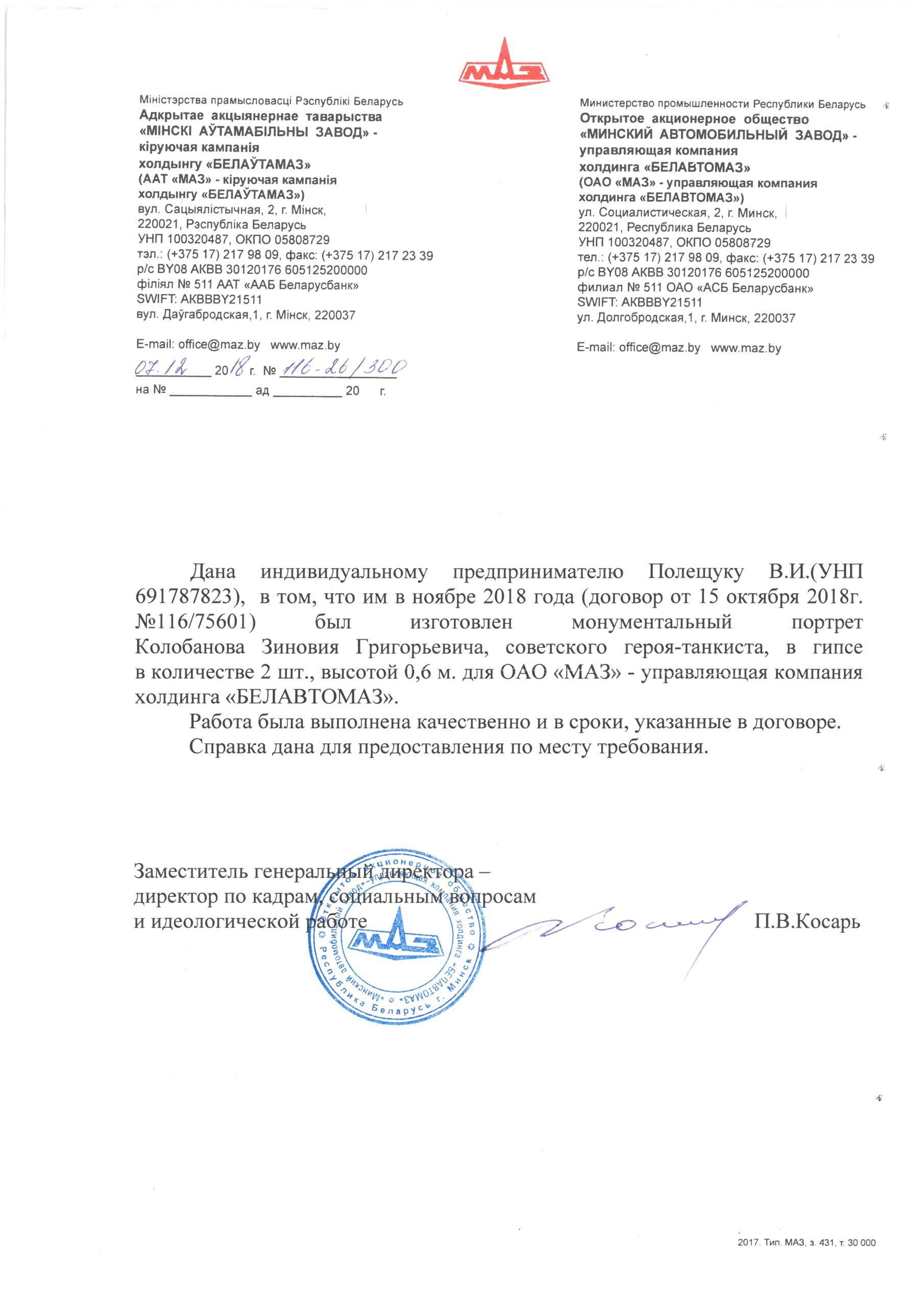 Полный отзыв — П.В. Косарь